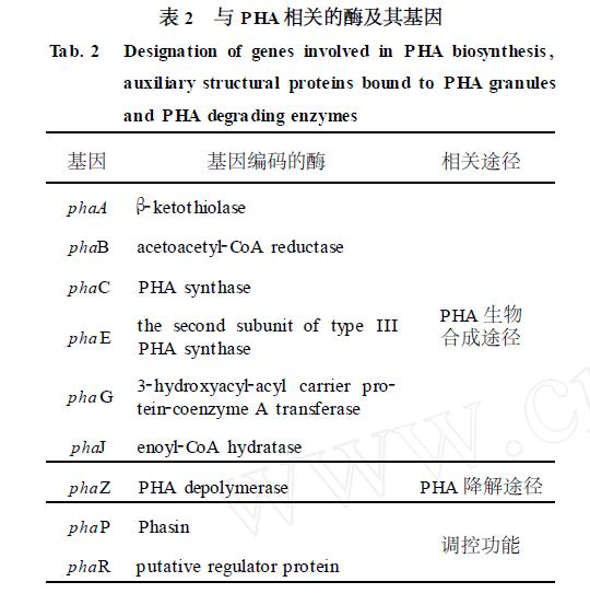 聚羥基脂肪酸酯