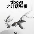 tfboys之葉落歸根