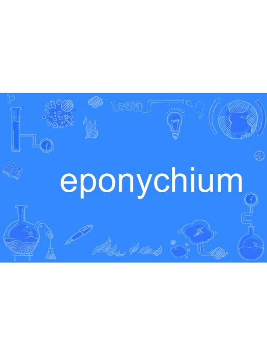 eponychium