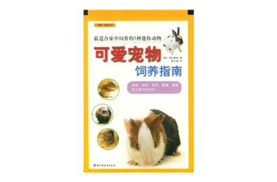 可愛寵物飼養指南：最適合家中飼養的5種迷你動物