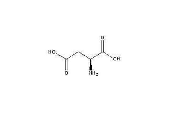 L-天冬氨酸