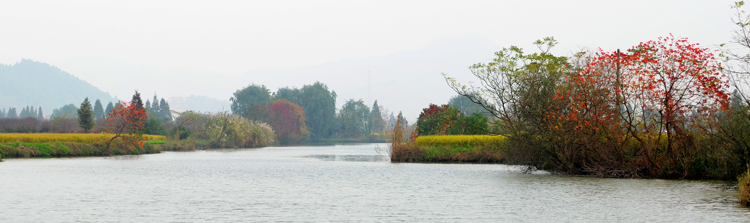 白塔湖國家濕地公園