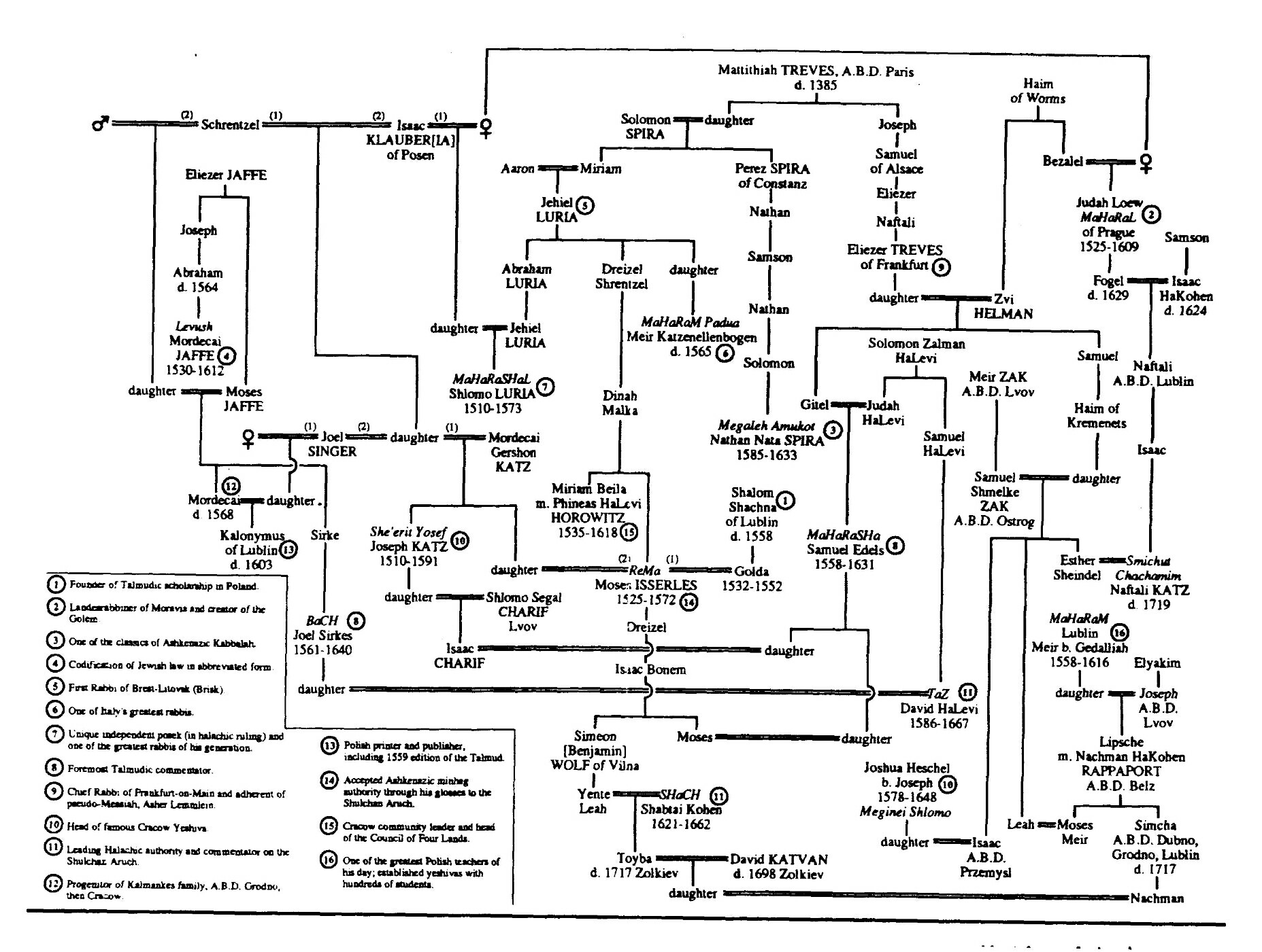 德裔猶太拉比家族的血統樹