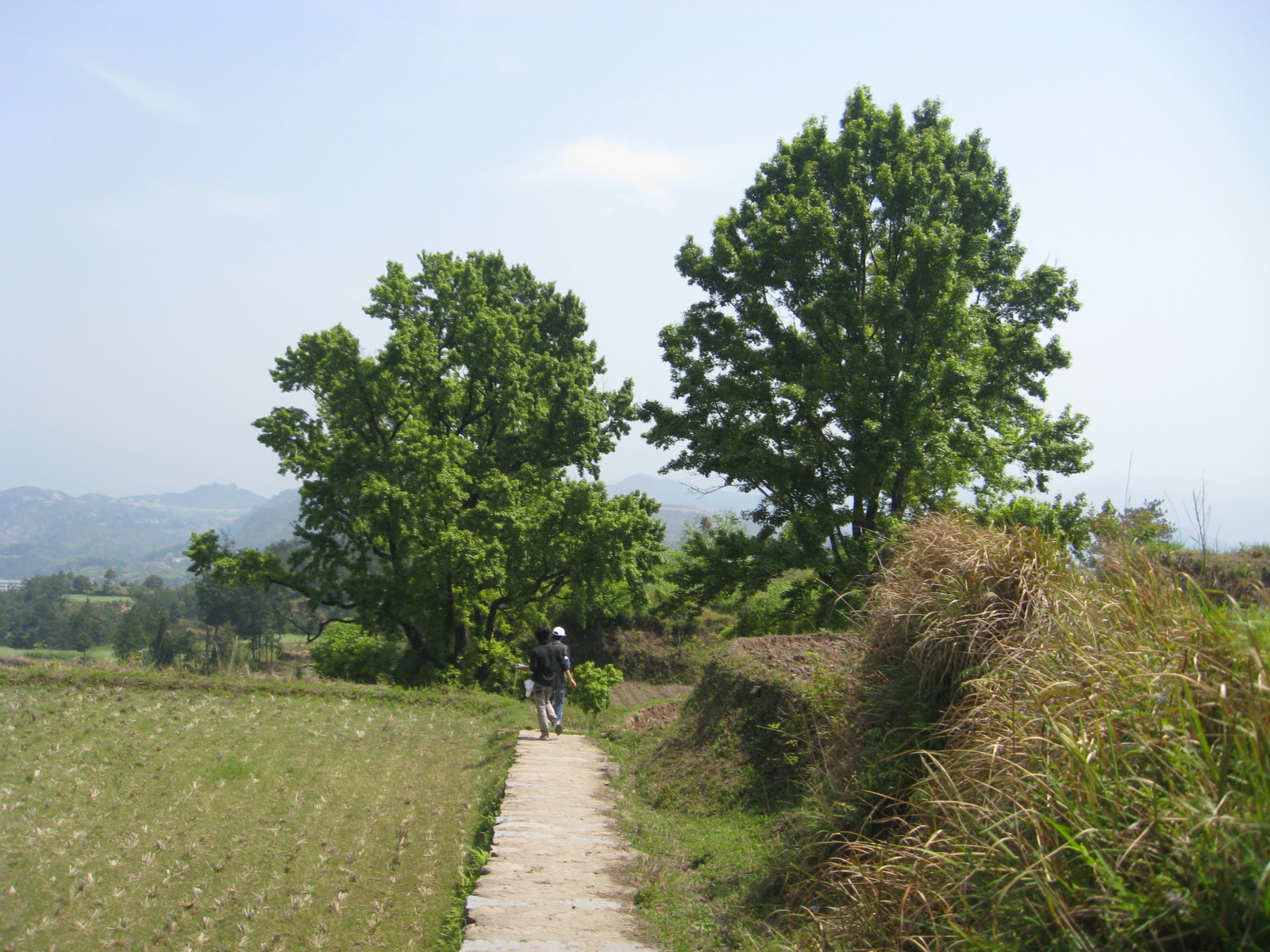 南坑嶺古道