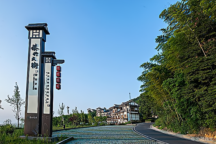 重慶茶山竹海國家森林公園