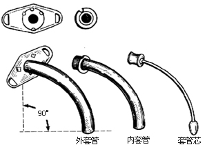 臍疝修復術