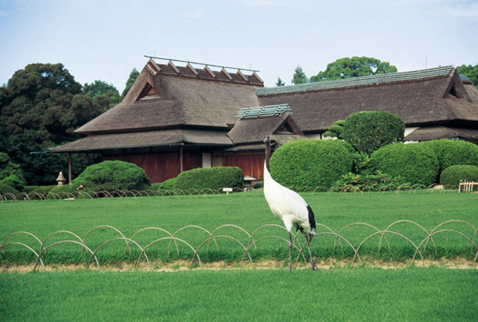 岡山鎮