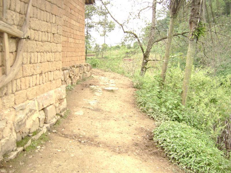 蘿蔔山村村內道路