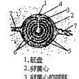 卵黃心