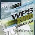 WPS2000套用高手速成