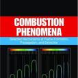 Combustion Phenomena