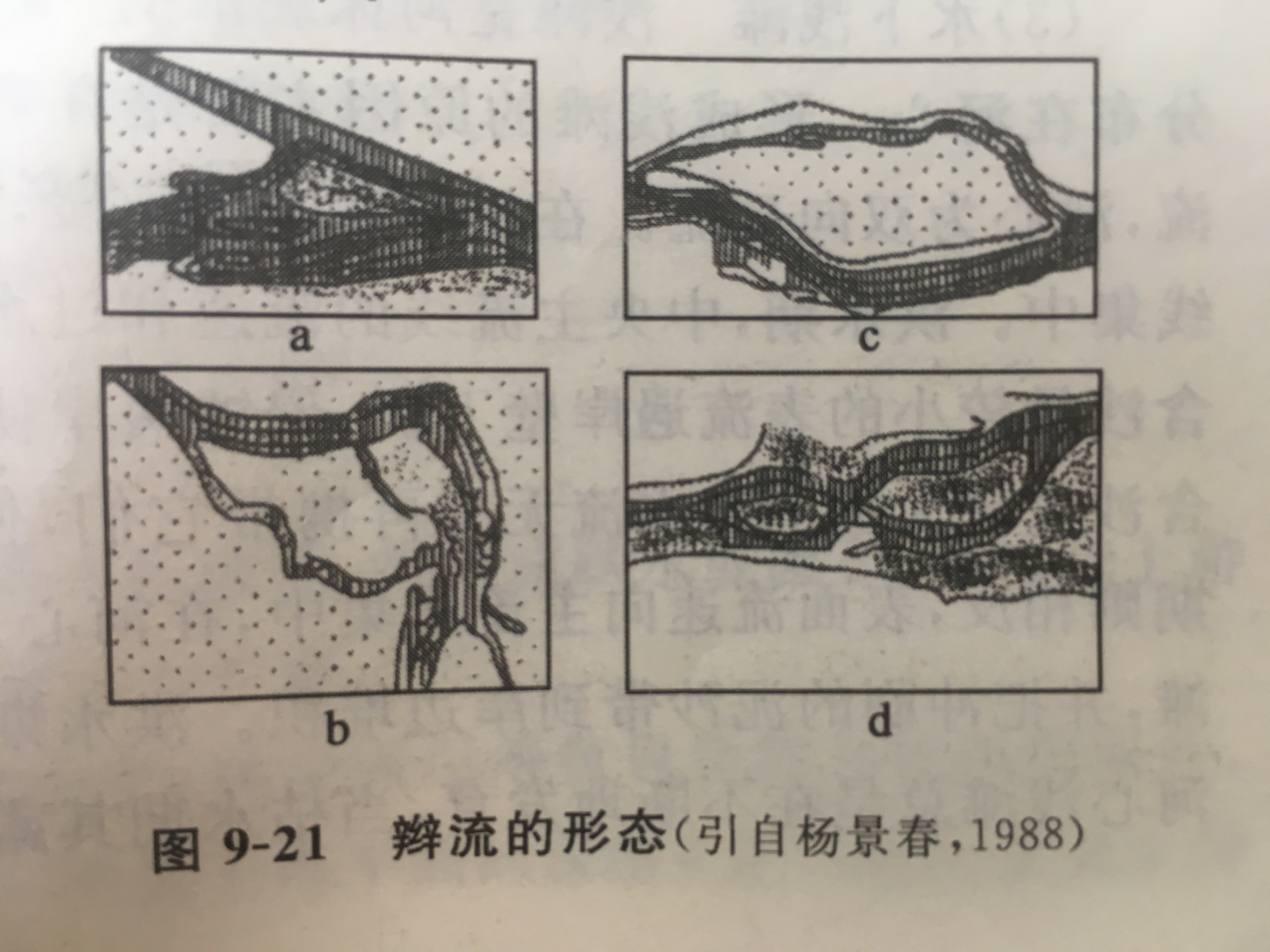 辮狀河