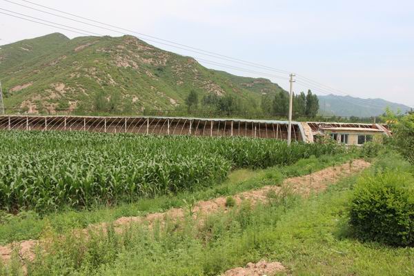 宋杖子村(遼寧省朝陽市北票市台吉鎮宋杖子村)