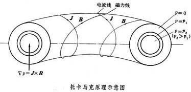 環形箍縮裝置