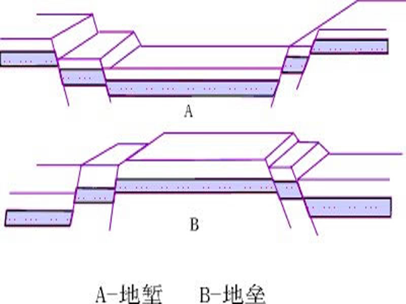 箕狀構造