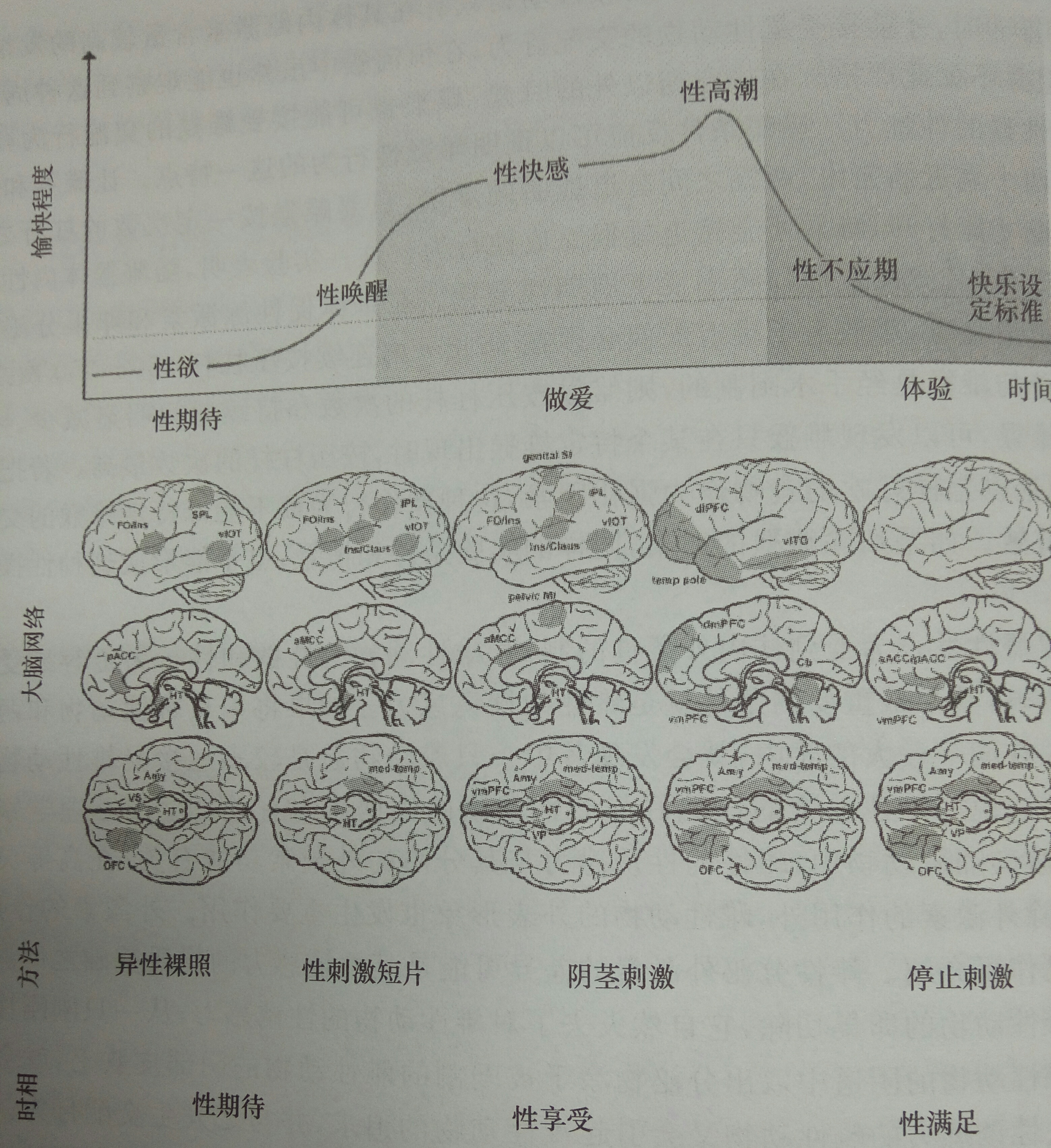 性興趣網路