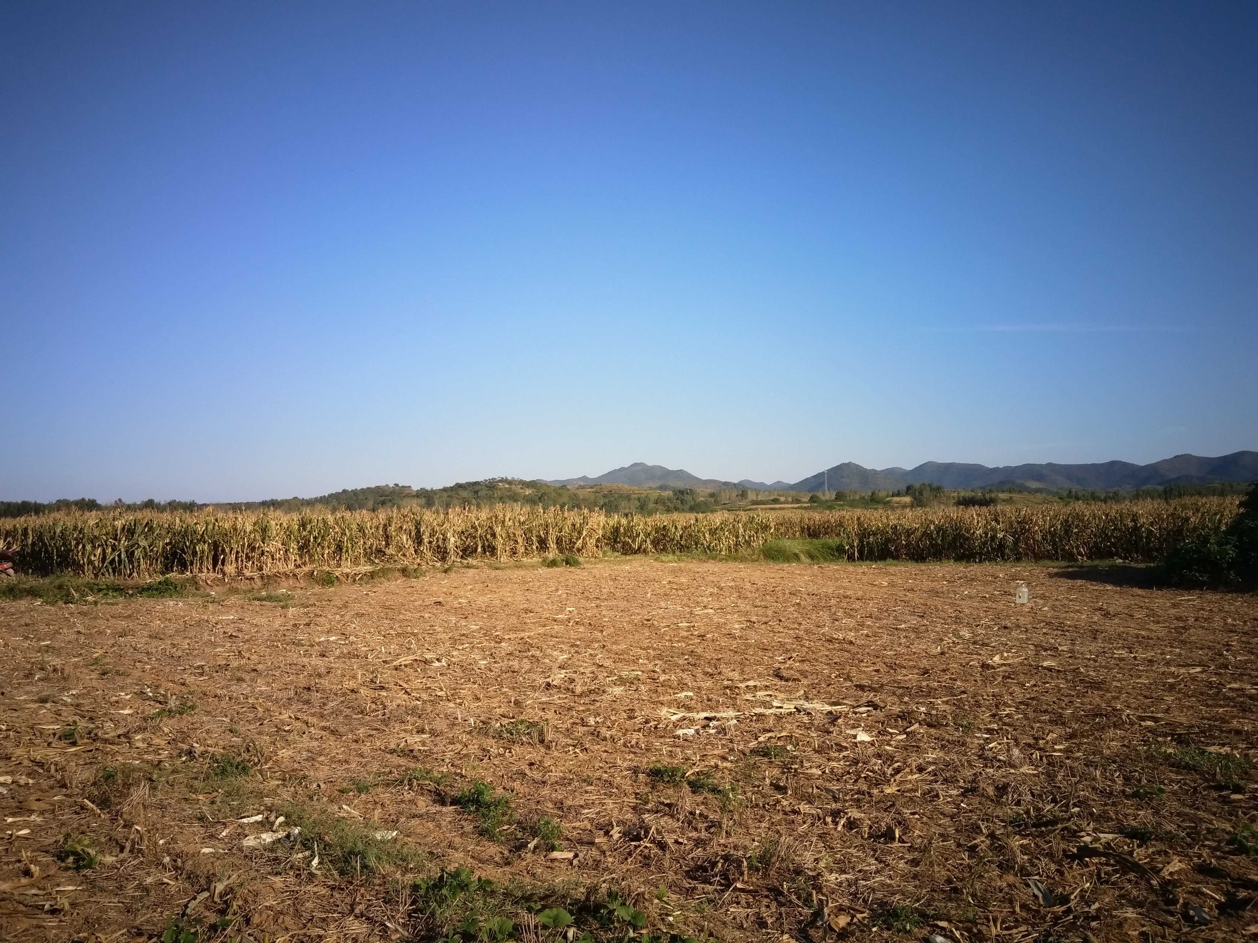 李灣村(河南桐柏縣安棚鄉下轄村)