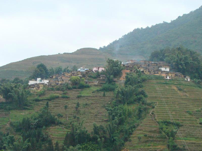 阿東村(雲南紅河州元陽縣俄扎鄉下轄村)