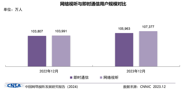中國網路視聽發展研究報告(2024)