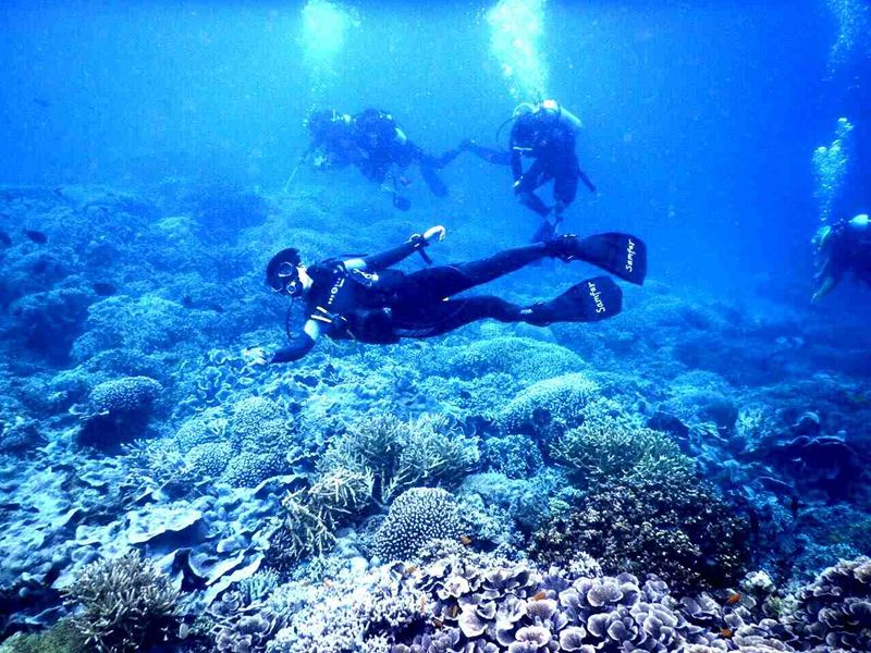 亞龍灣愛琴海PADI潛水度假村