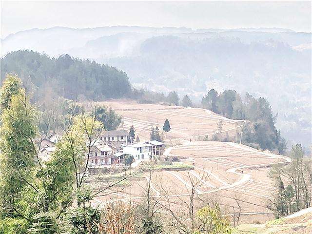 石坪村(雲南省昭通市永善縣細沙鄉石坪村)