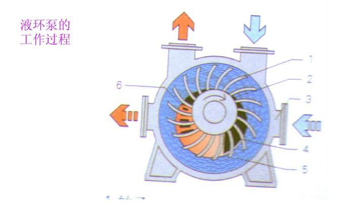 液環泵工作原理