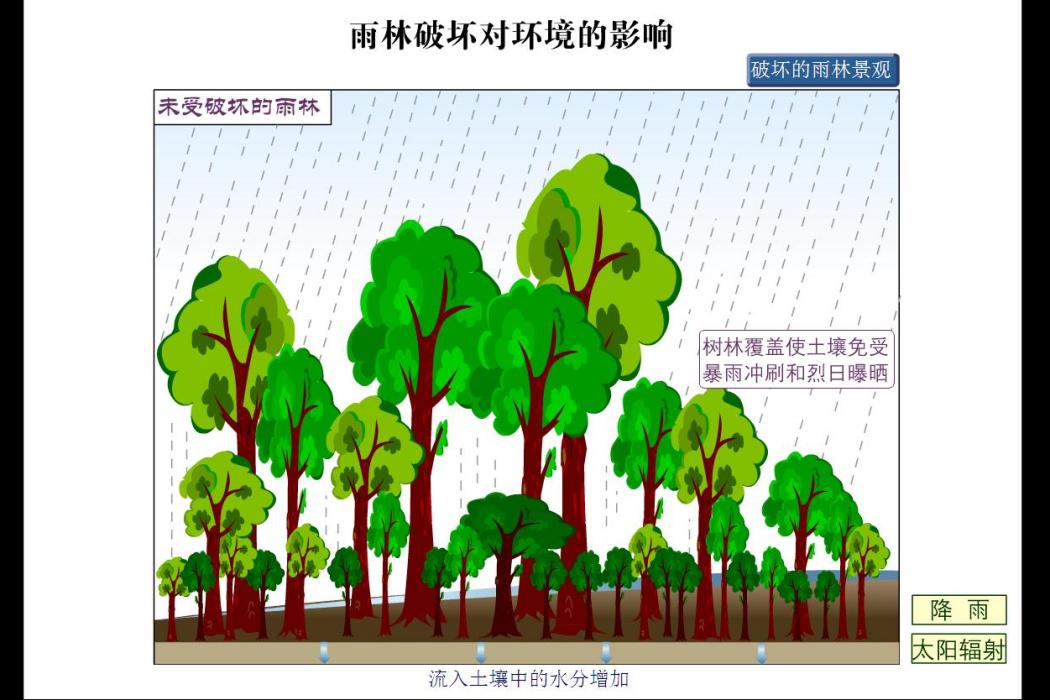 能源對環境的影響