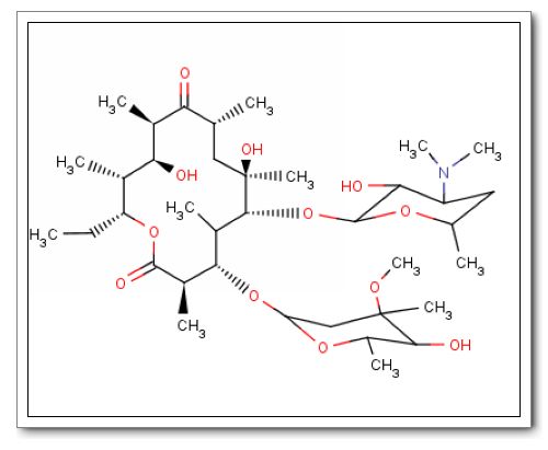 十四元環大環內酯類抗生素