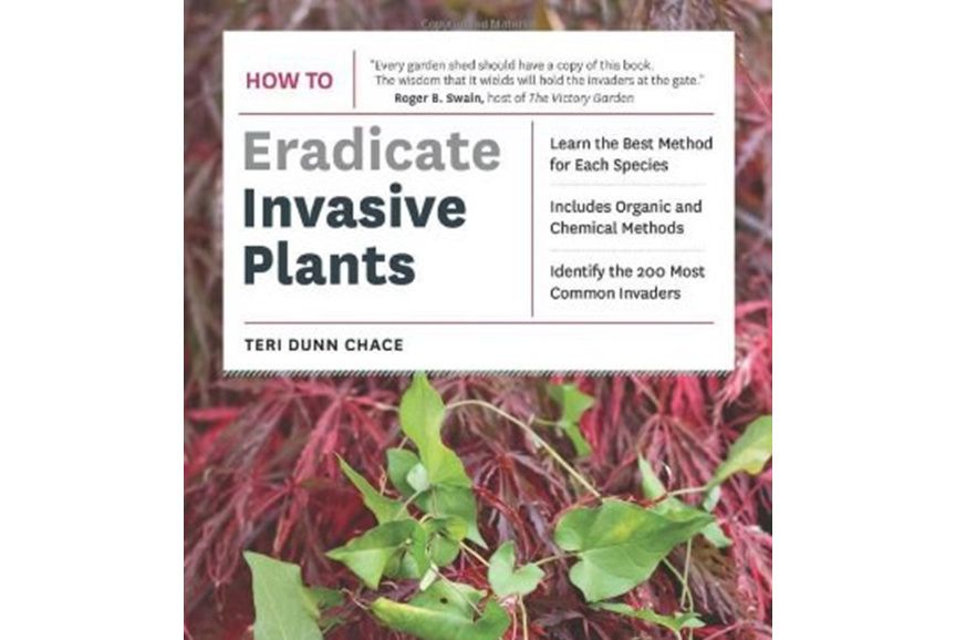 How to Eradicate Invasive Plants