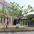 敬和學園大學(日本敬和學園大學)