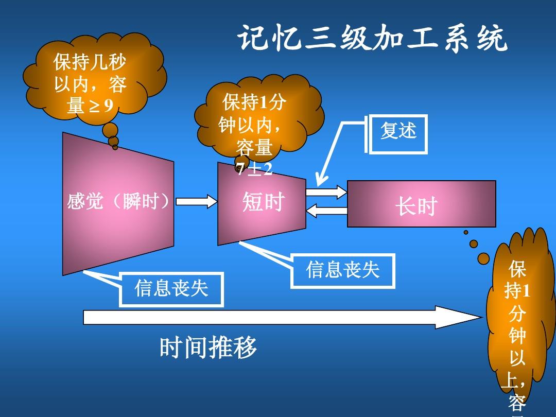 三種記憶系統