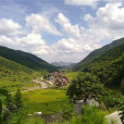 陳家灣村(雲南省宣威市龍場鎮下轄村)