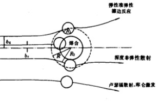 轉移反應