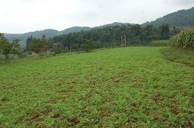 耕地及山林