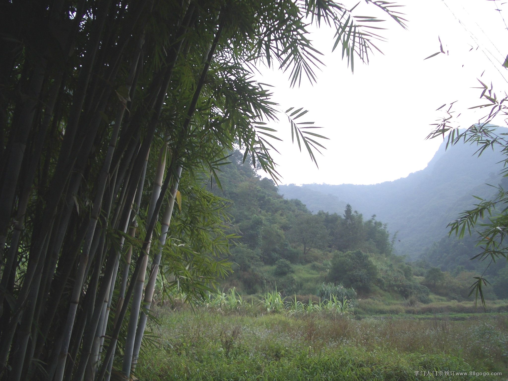 王子山森林公園