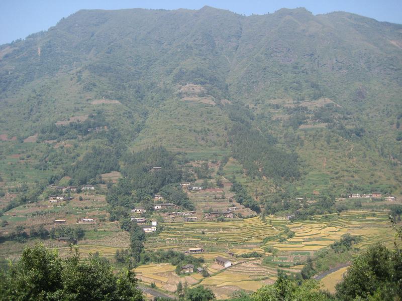 塘口自然村(龍安鄉鎮白岩行政村下轄自然村)