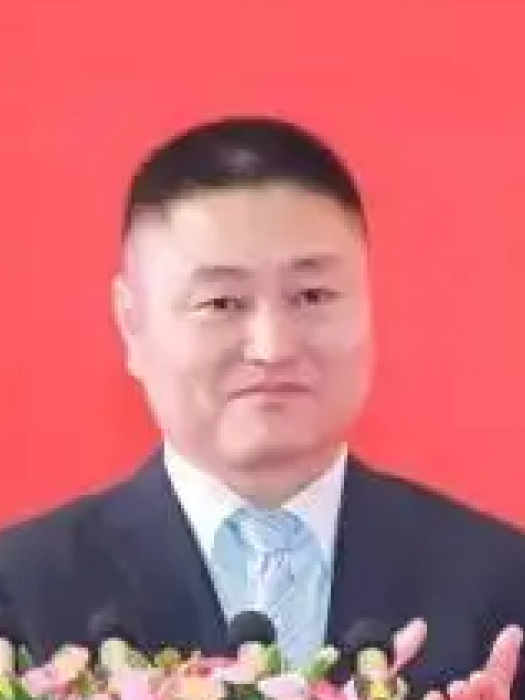陳超(中國龍工執行董事，副總裁)