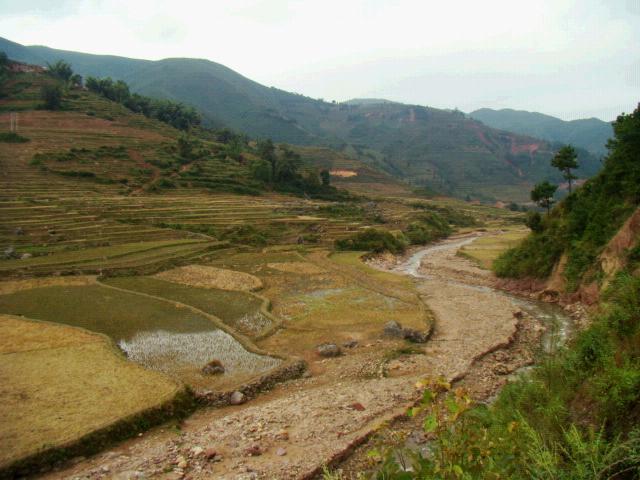 賈東村