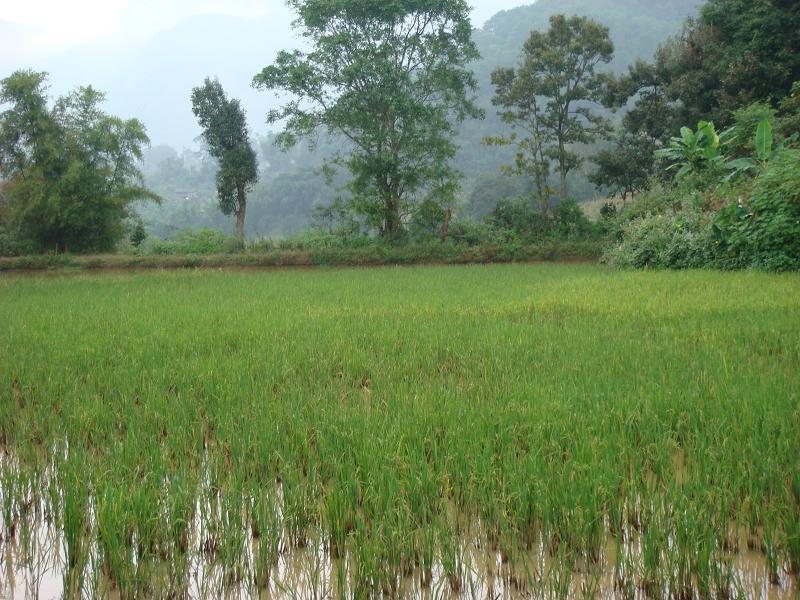 開荒自然村