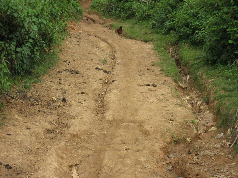 大水山自然村通村道路