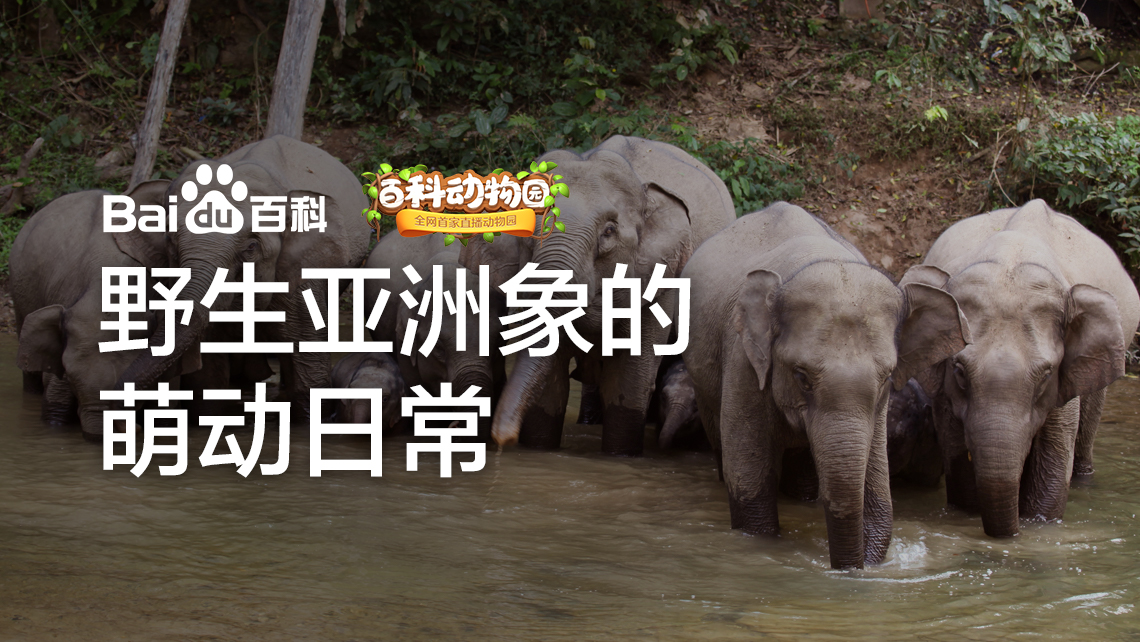 百科動物園