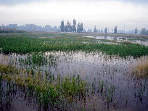 張掖國家濕地公園