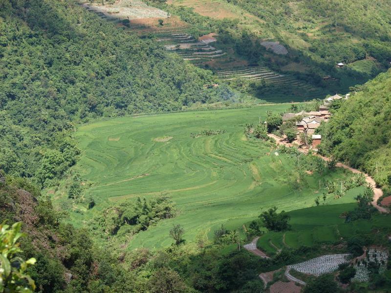 黃草坡村(雲南省紅河州石屏縣於異龍鎮下轄村)