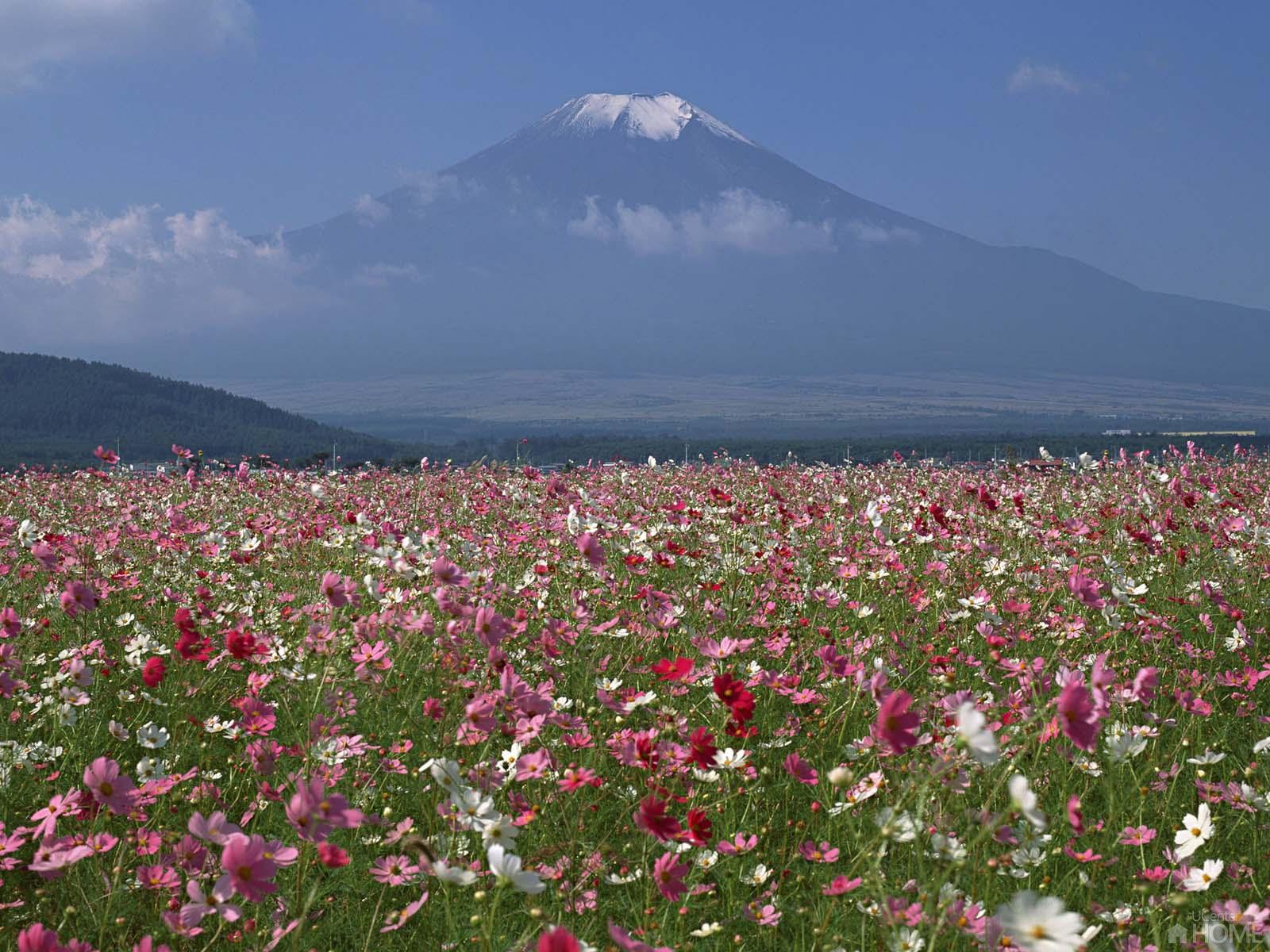 富士山