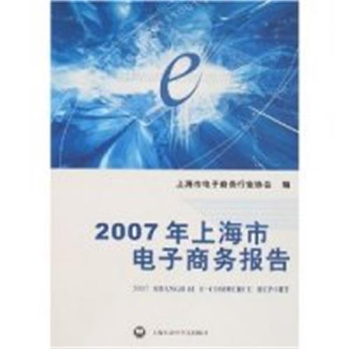 2007年上海市電子商務報告