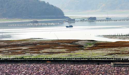 海岸風光