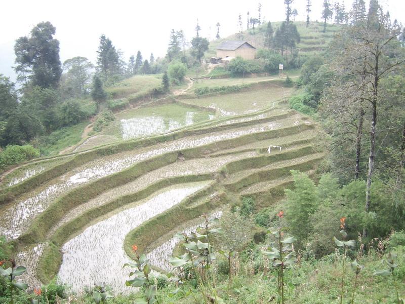 田園耕地