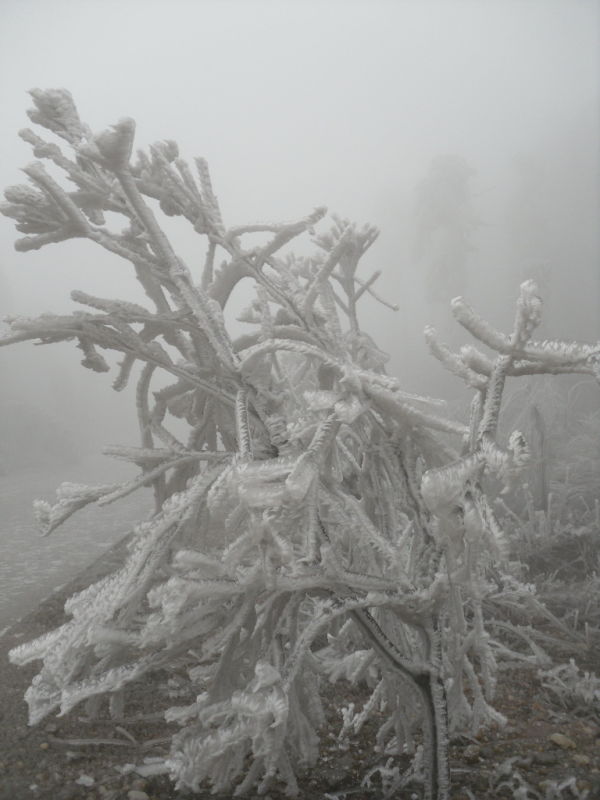 株洲·雲陽山風景區霧凇