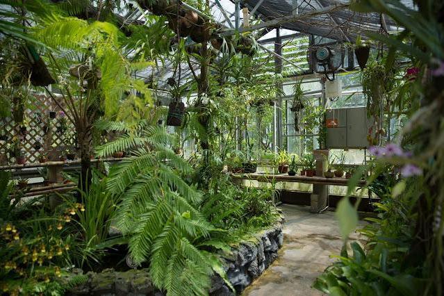 嘉道理農場暨植物園博物館