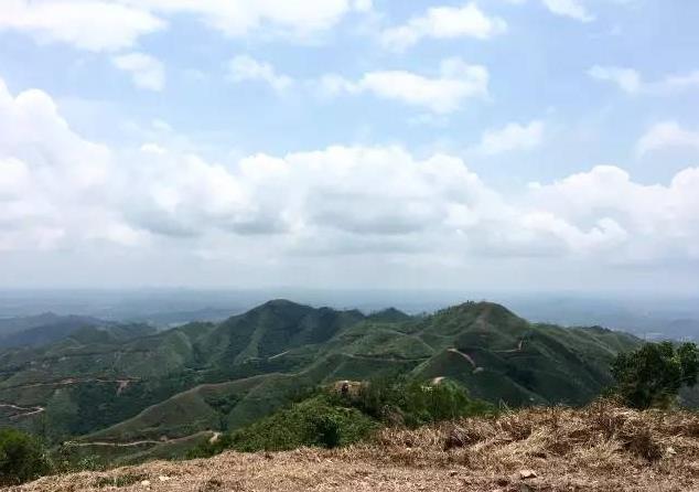 廣東六王山森林公園